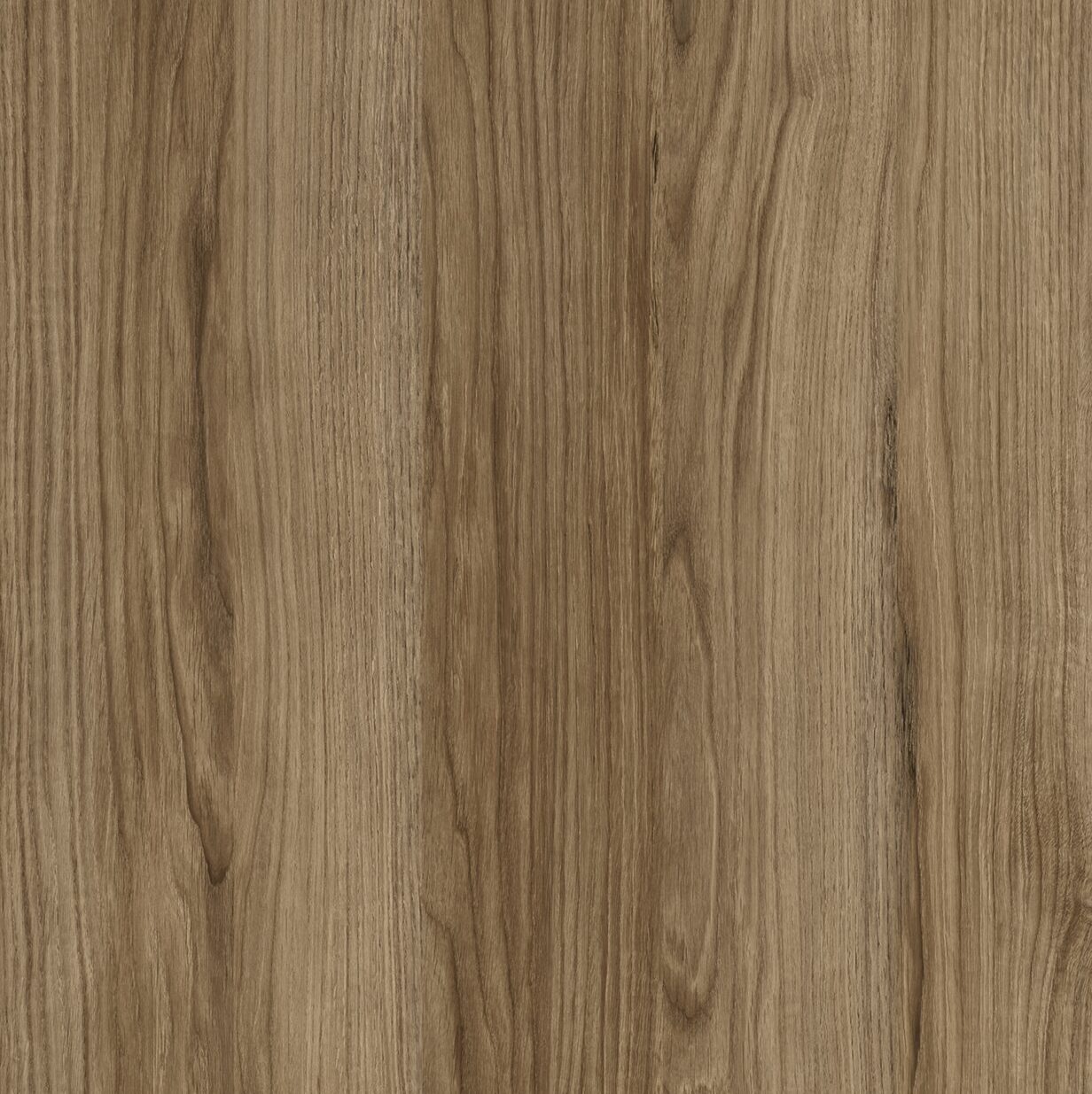 Melamina Etna Oak M6304 (Golden)